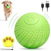 Interactive Dog Ball Toy with Remote Control â€“ Silent Motion Activated Rolling & Bouncing