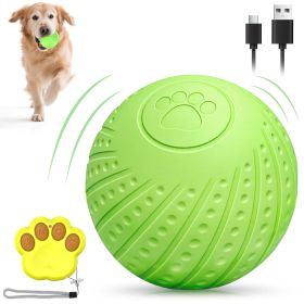 Interactive Dog Ball Toy with Remote Control â€“ Silent Motion Activated Rolling & Bouncing
