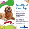 Candy Cane Nylon Dog Toy for Aggressive Chewers | USA Made | SodaPup