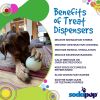 4" Glow-in-the-Dark Dog Ball - Treat Dispenser & Water Toy | USA Made