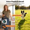 Dog Shock Collar with Remote Control, Dual Dog Control for Small Medium Large Dogs
