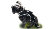 Waterproof Tracking Collars for Hunting Dogs Realtime GPS Pet Tracker Size:S