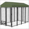 Dog House