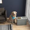 Raised Dog Feeding Station with 2 Stainless Steel Bowls and Storage for Large Dogs and Other Large Pets